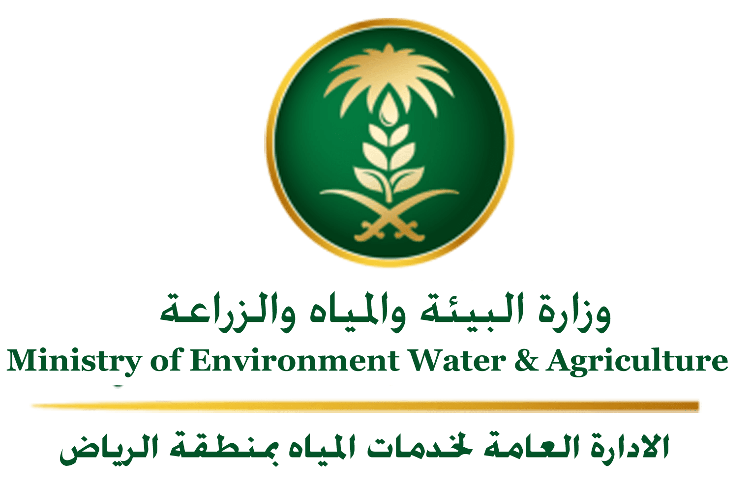 الرياض